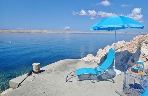 Baric Draga Apartment | Studio in Baric Draga - Velebit Riviera 41714