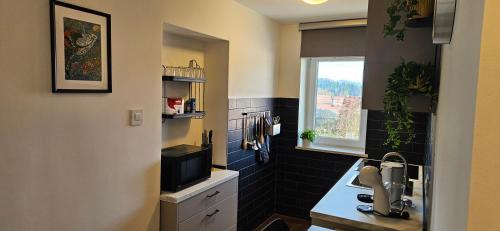 Delnice Apartment | Studio Katarina