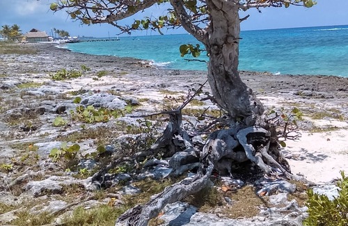 Cozumel Apartment | Studio Kin. Close to Beaches, diving and Island Attractions. Paradise found.