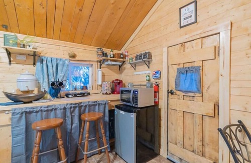 Fairbanks Cabin | Studio Log Cabin | Aurora Views!
