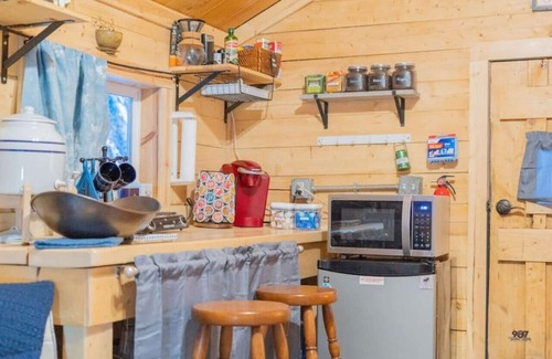 Fairbanks Cabin | Studio Log Cabin | Aurora Views!