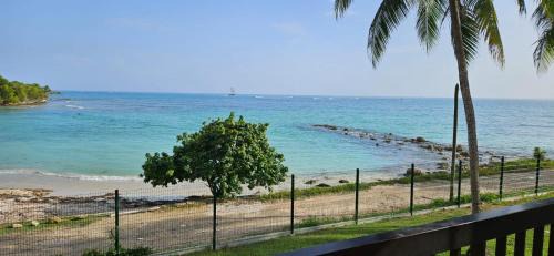 Bas du Fort Apartment | Studio magnifique vue mer - Pieds dans l'eau - Citerne d'eau - Bord de plage