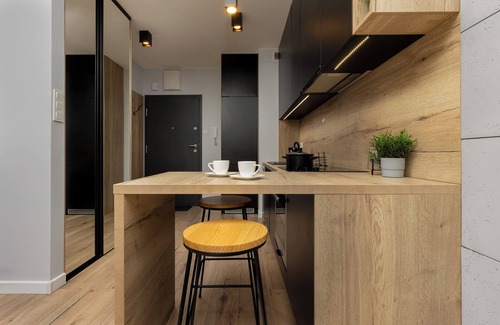 Baluty Apartment | Studio Near Manufaktura Łódź by Renters