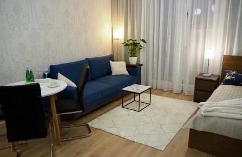 Wilanow Apartment | Studio nr 2 close to Medicover and Paley Institute
