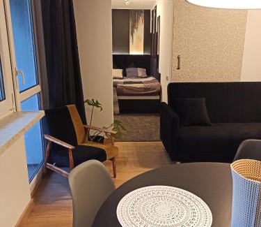 Chorzow Apartment | Studio Park Śląski Katowice/Chorzów