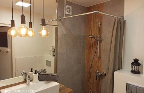 Chorzow Apartment | Studio Park Śląski Katowice/Chorzów