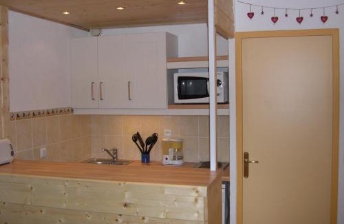 Reberty Apartment | Studio pieds des pistes, proche quartier Bruyères, skis et animaux admis - FR-1-574-18