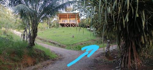 Langostino House | Studio Pilon De Pavones