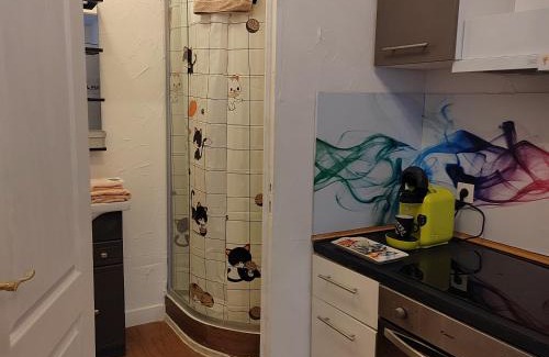 Auch Apartment | Studio plein centre