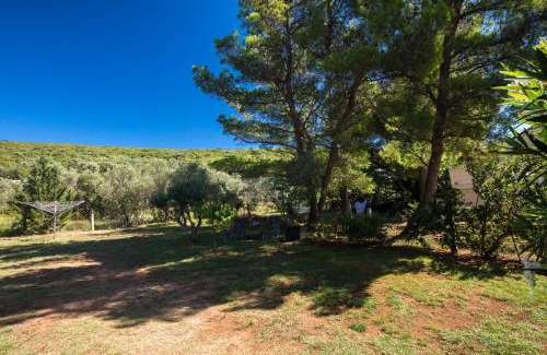 Punat Apartment | Studio Point of view