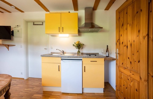 Oberloßnitz Apartment | Studio-Private Bathroom-Vineyard view-Nr. 2