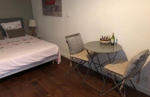Notre-Dame-des-Champs Apartment | Studio Saint-Placide
