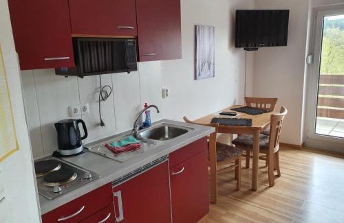 Kuestelberg Apartment | Studio Schöne Aussicht mit Fahrradkeller am Rotharrsteig