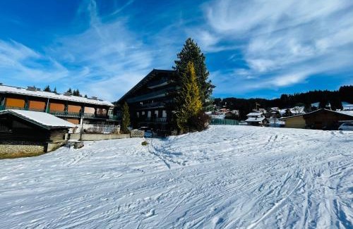 Les Gets Apartment | Studio ski aux pieds vue superbe sur les pistes