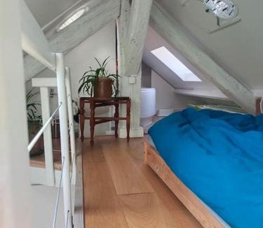 Vincennes Apartment | Studio sous les toits et mezzanine - Vincennes