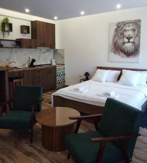 Vrdnik Apartment | Studio Tanja