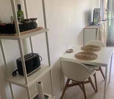 Dax Apartment | Studio touristes curistes , jardin terrasse
