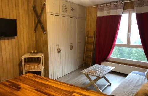 Laveissiere Apartment | studio tout confort au pied des pistes du lioran