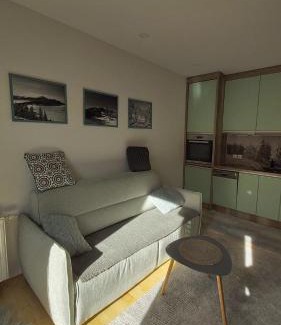 Bjelasnica Apartment | Studio Twin