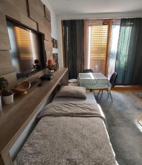 Bjelasnica Apartment | Studio Twin