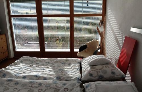 Arzl im Piztal Apartment | Studio Ualysses