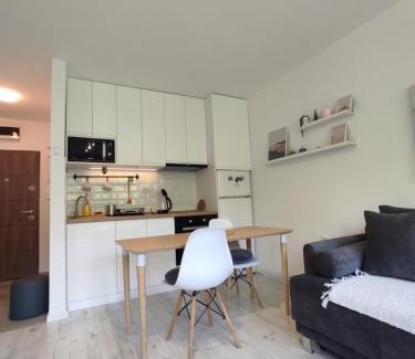 Banovo brdo Apartment | Studio Valjevska Street