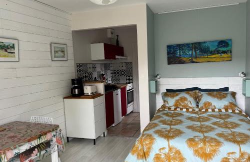 Fouesnant House | Studio vue sur jardin à 3 mn en voiture de la mer