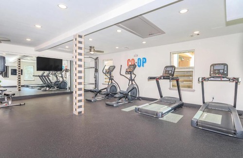 Astrodome Apartment | Studio w Handicap access - Walk to Texas Medical Center, NRG, Rice University, Parks, Zoo
