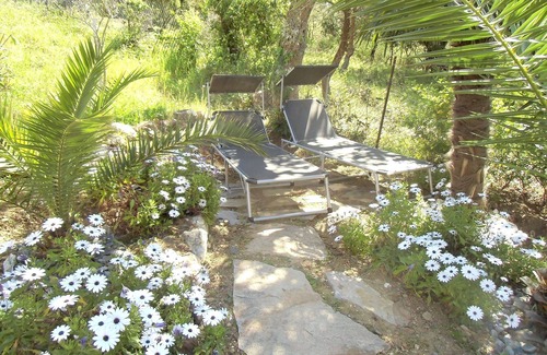 Gassin Apartment | Studio with garden for 2 people. Inexpensive accommodation on the Gulf of St Tropez.