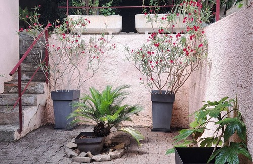 Colomiers Apartment | Studio with garden in the center of Colomiers in absolute calm.