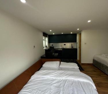 Cricklewood Apartment | Studio with own Garden