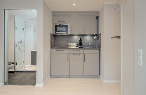 Tinnum Apartment | Studioapartment - Tom