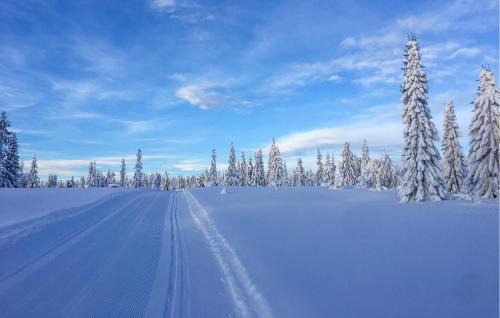 Sjusjoen House | Stunning Home In Sjusjøen With Sauna