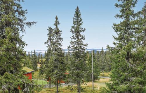 Sjusjoen House | Stunning Home In Sjusjøen With Kitchen