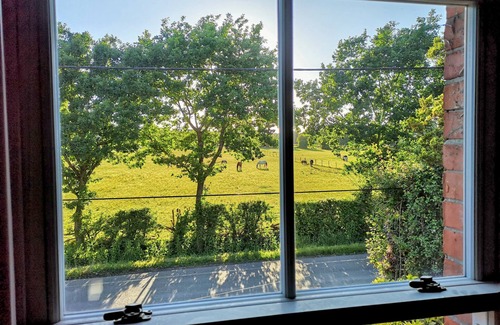 New Forest District Cottage | Stunning New Forest Cottage Close to Paultons Park/Peppa Pig World