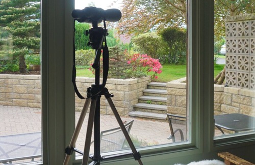 Ballater House | Stunning Scandinavian Style Home in the Heart of Ballater