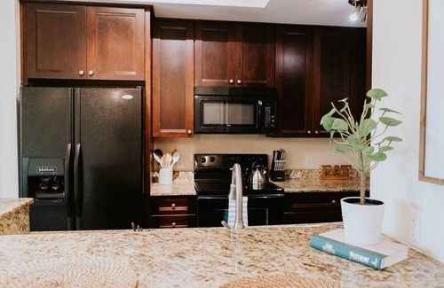 Springfield House | Stunning townhouse on quiet street in Springfield!