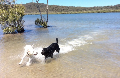 Brisbane Waterfront House | Stunning water views, peaceful setting. Dog friendly.