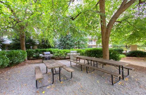 Aurora Highlands Apartment | Stylish Crystal City Flat - Pool & Fitness