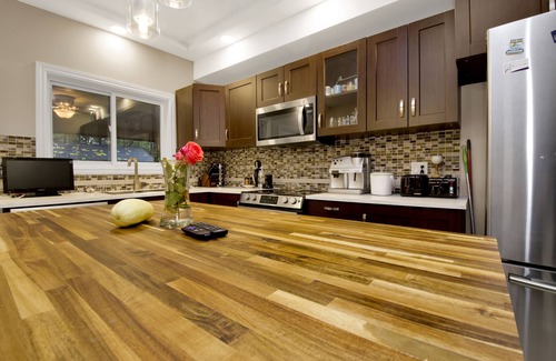 Sandy Hill House | Stylish east downtown house with easy river access