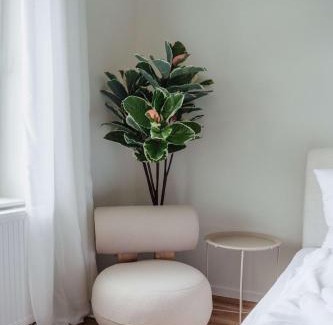 Celle House | Stylish Old Town Apartment with Parking - Quiet - Central
