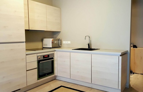 Downtown Apartment | Stylish One-Bedroom Apartment with Terrace: The Perfect Location!