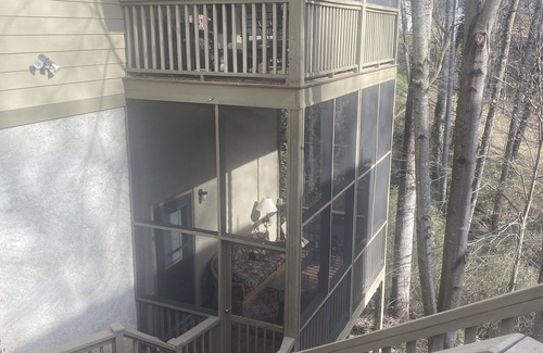Historic Montford Apartment | Stylish Studio in the Trees - Montford
