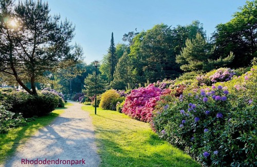 Markgrafenheide Apartment | Stylishly furnished and light-flooded holiday apartment in Markgrafenheide
