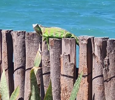 Icapui House | Suíte Pé na Areia - Praia da Peroba - Icapuí