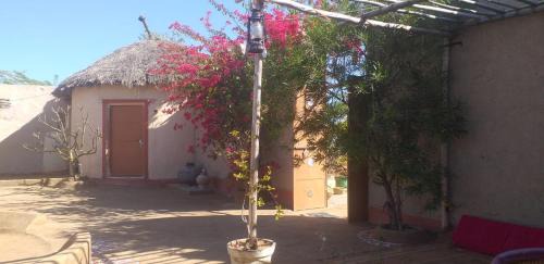 Ahor Bed & Breakfast | Subhadra ecolodge