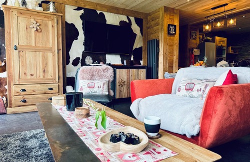 Les Angles Ski Chalet | SUBLIME BAS DE CHALET DE STANDING en duplex AUX ANGLES -Space for billiards and cinema