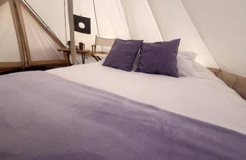 Texcoco de Mora Other | Sueño de Lavanda en Glamping Rincón de Lavanda