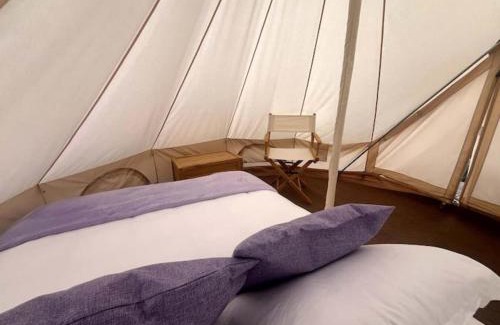 Texcoco de Mora Other | Sueño de Lavanda en Glamping Rincón de Lavanda