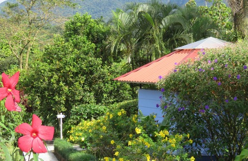 Rio Naranjo Bed & Breakfast | Sueño Río Celeste B&B